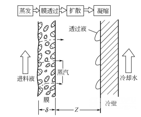 膜蒸馏法的分离原理_巴沃夫.png