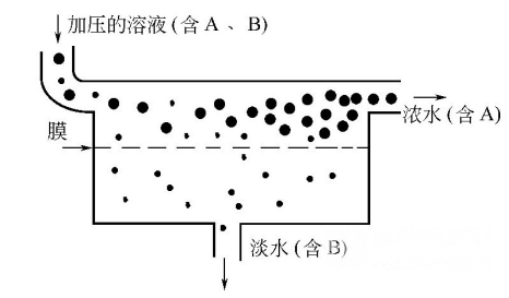 超滤的原理示意图_巴沃夫.png