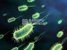 微生物的出现和特性（杀菌灭藻剂篇）